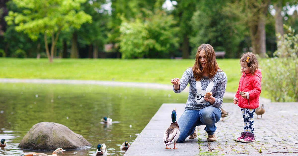 Newburyport Office, Lower Level Children's Health Care